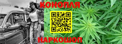 гашик Будённовск
