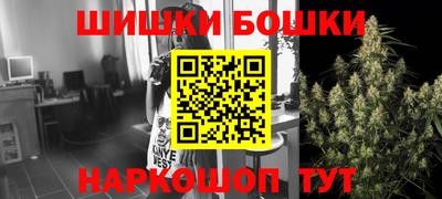 гашик Будённовск