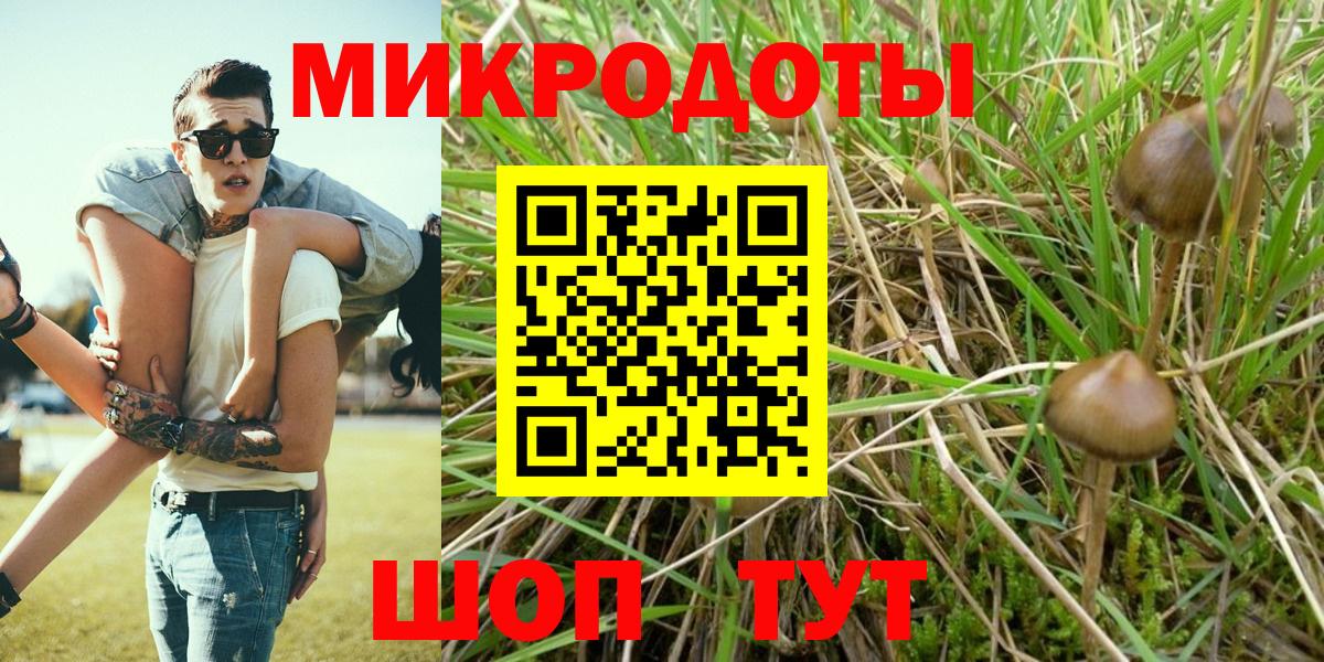 Псилоцибиновые грибы ЛСД Ставрополь