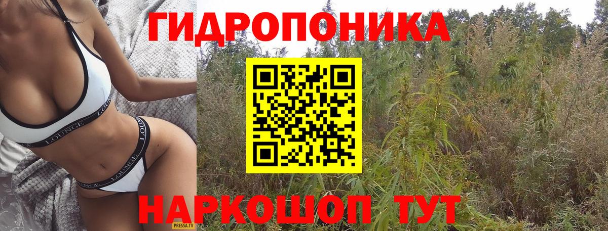 Бошки марихуана LSD WEED Ставрополь
